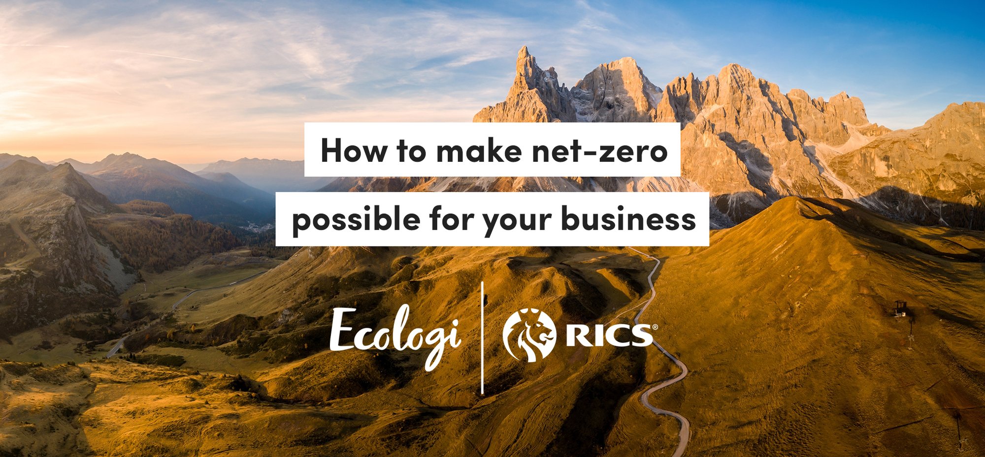How to make net-zero possible for your business